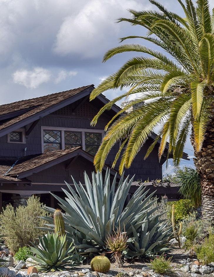 Front view of the Grove House surrounded by cacti